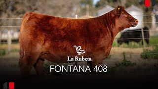 Remate La Rubeta 2024 Rp 408 [upl. by Warchaw]