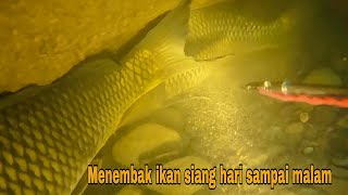 Menembak ikan siang hari sampai malam hasil terbayak di dapat Anuakfishing [upl. by Corinne]