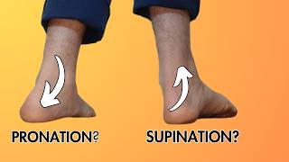 What Is Foot Supination and Foot Pronation [upl. by Jadd691]