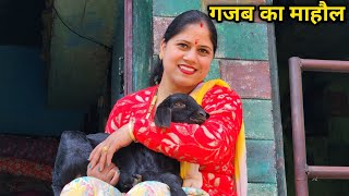 गाँव के लोगों ने की ऐसी खातिरदारी 🤗  Pahadi Lifestyle Vlog  Priyanka Yogi Tiwari [upl. by Otha]