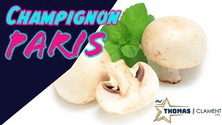 Comment préparer Champignons Paris  Cook e Club [upl. by Houser162]