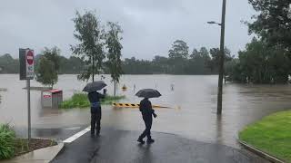 Nepean River Flooding 21 Mar 2021 [upl. by Nered]