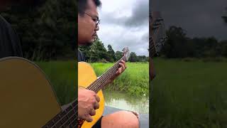 ดูแลตัวเองดีๆนะ fingerstyleguitar [upl. by Glialentn]