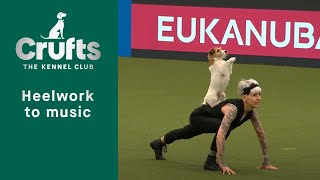 Heelwork To Music  Freestyle International Competition Part 1  Crufts 2023 [upl. by Maziar997]