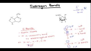 Hydrogen Bonding AP Biology [upl. by Terryn]