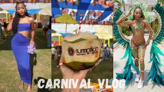 Vlog Jamaica Carnival 2024 [upl. by Mcripley596]