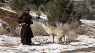 Can St Francis Bring Peace by Taming the Wolf [upl. by Boyce]