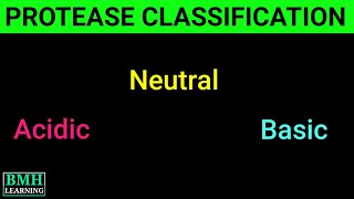 Classification Of Proteases  Basic amp Acidic Protease  Protease Production  Types Of Protease [upl. by Anitnoc]