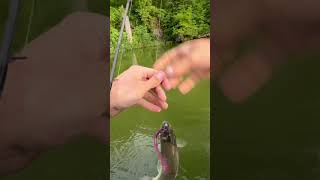 Big bass or little bass doesn’t matter to me bassfishing fishing bass bassfishinglife fish [upl. by Furnary]