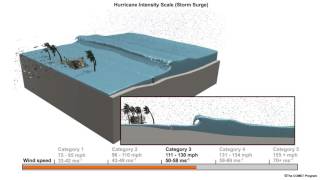 Hurricane Storm Surge [upl. by Nodnarb]