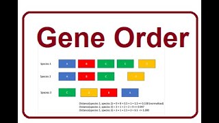 Gene Order  The Blueprint of Life  2024 [upl. by Reeva]