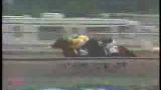 1988 Preakness Stakes [upl. by Retha254]