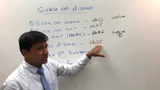 Sickle Cell Disease  Sickle cell anemia HbC trait HbSC disease [upl. by Parthinia]