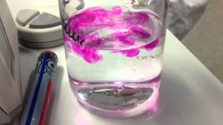 NaOH  Phenolphthalein [upl. by Nylessej615]