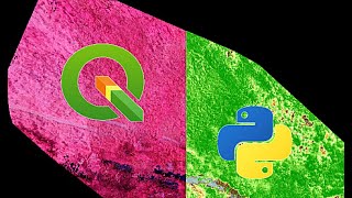 Drone NDVI Mapping in QGIS and Python Analysis Code [upl. by Maxi660]