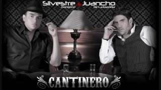 Has Cambiado Mi Vida  Silvestre Dangond Y Juancho De La Espriella [upl. by Lehcear]