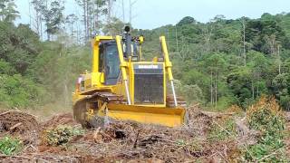 Dozer Komatsu D85  Florestal [upl. by Trauner93]