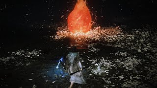 Elden Ring x Dark Souls  Sister Friede vs Malenia Blade of Miquella No HUDNo Damage [upl. by Luann634]