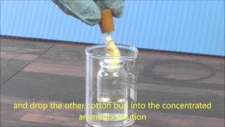 Ammonia amp HCl Diffusion Demonstration [upl. by Opportuna]