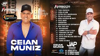 CEIAN MUNIZ  NOVO CD  2023 TÀ TUDO PERFEITO OFICIAL [upl. by Ardnued]