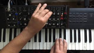 Rush Jacobs Ladder Minimoog solo with Behringer Model D [upl. by Uke622]