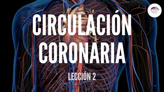 2 CIRCULACIÓN CORONARIA ESTRUCTURA Y FUNCIÓN DEL SISTEMA CARDIOVASCULAR [upl. by Roban675]