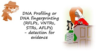 DNA profiling or DNA fingerprinting using RFLPs VNTRs STRs or AFLPs help detect evidencen [upl. by Mailli357]