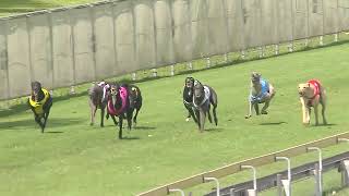 CapalabaWednesday01102024Race6 [upl. by Nivanod67]