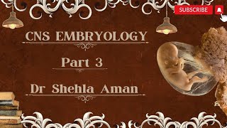 CNS Embryology  Forebrain development  Dr Shehla Aman [upl. by Batty212]