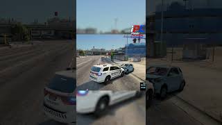 몸집이 중요한 이유  GTA V LSPDFR 049 경찰모드 시즌 IV 숏 40 [upl. by Aydiv484]