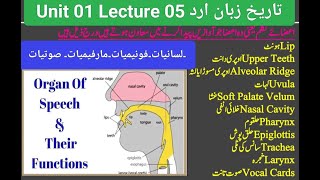 UNIT 01 Lecture 6 URdu ki aham boliyan Lesani infradiyatSoutyat phonimiyaat Maarfeemyatugcnetjrf [upl. by Ahsenrat]