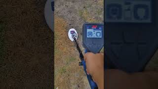 Metal detector gold monster 1000 metaldetektorgm1000 minelab [upl. by Raskin164]