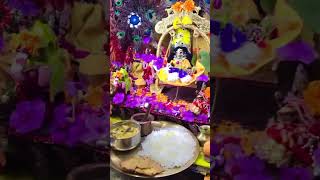 राधेकृष्णकीं ज्योतिshortvideo krishna [upl. by Cook]