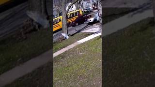 Police contacted after cars keep passing school bus shorts shortsvideo [upl. by Lednem]