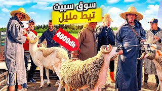 اليوم من سوق سبيت تيط مليل نواحي الدار البيضاء🇲🇦مع أثمنة حولي عيد الأضحى🐑010624 الله يغلبنا عليهم🙏 [upl. by Cogn]