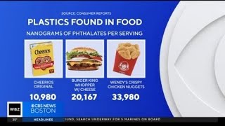 Study finds large amount of foods contain plastics [upl. by Oiretule781]