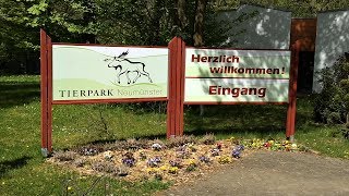 Tierpark Neumünster Germany [upl. by Ashil]