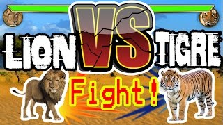 LION VS TIGRE  C KI LE  FOR [upl. by Cowie]