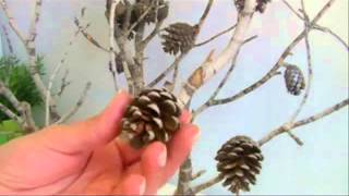 Diy Arbol de navidad con ramas secas [upl. by Ffilc]