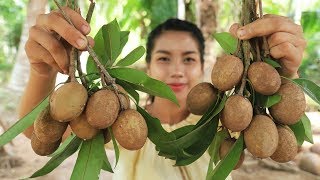 Yummy cooking Sapodilla fruits recipe  Cooking skill [upl. by Alyce]