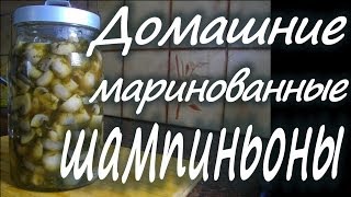 Маринованные шампиньоны рецепты Как приготовить домашние маринованные грибы шампиньоны рецепты [upl. by Asyral]