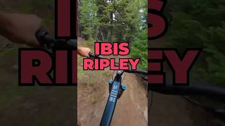 Ibis Ripley V5 First Ride mtb shorts [upl. by Lleira]