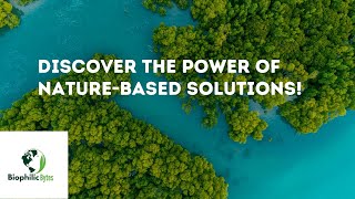 What are NatureBased Solutions and How to Tackle Climate Change and Protect Biodiversity [upl. by Andrey]