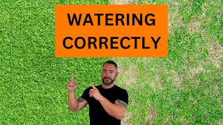 Mastering Bermudagrass Essential Watering Tips Revealed [upl. by Naivaj233]