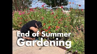 Revitalizing an End of Summer Pollinator Garden ☼ [upl. by Ary]