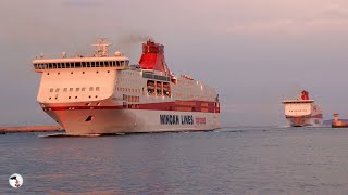 🛳️Η άφιξη των Κρητικών  Minoan Lines  anchorartgr [upl. by Hsivat]