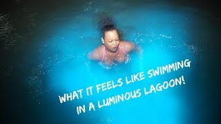 EXPLORING JAMAICA EPISODE 1 A Swim in the Luminous Lagoon [upl. by Aniahs]