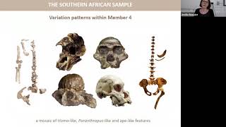 Dr Amélie Beaudet  Australopithecus from Sterkfontein Caves South Africa An evolutionary species [upl. by Anaic]