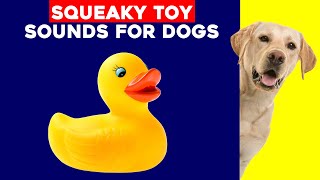 Squeaky Toy Dog Toy  Sounds for Dogs Reason To Watch Now [upl. by Lrub212]