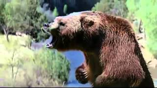 Birds Eye Steamfresh Chefs Favorites TV Commercial Fishing Bears [upl. by Danika267]